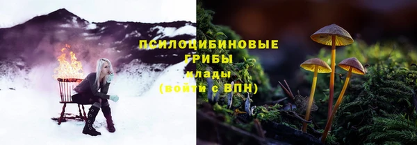 дурь Кукмор