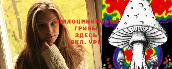 дурь Кукмор