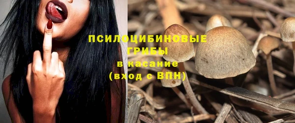 дурь Кукмор